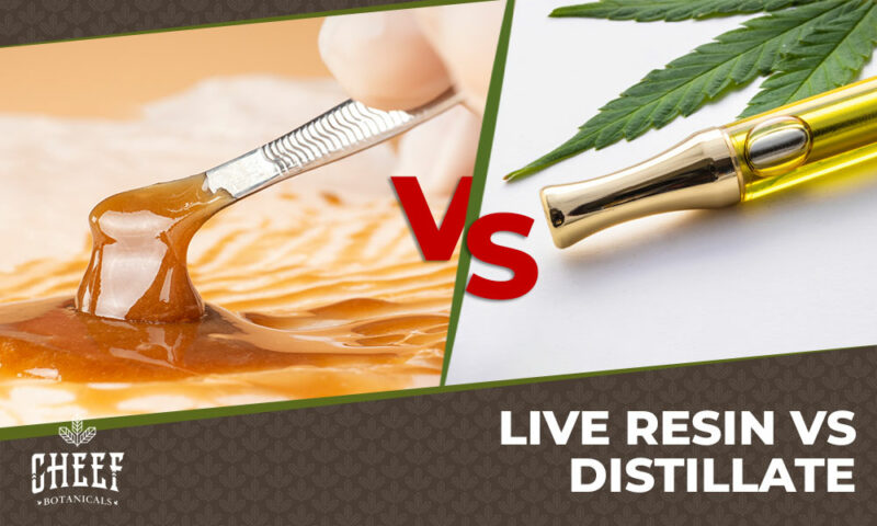 Live Resin vs Distillate (featured blog image by Cheef Botanicals) shows a dab tool scooping live resin next to a distillate filled vape cartridge