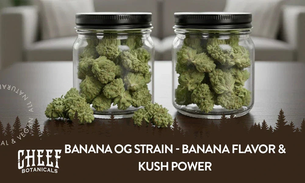 Two jars of Banana OG cannabis buds sitting on a wooden table.