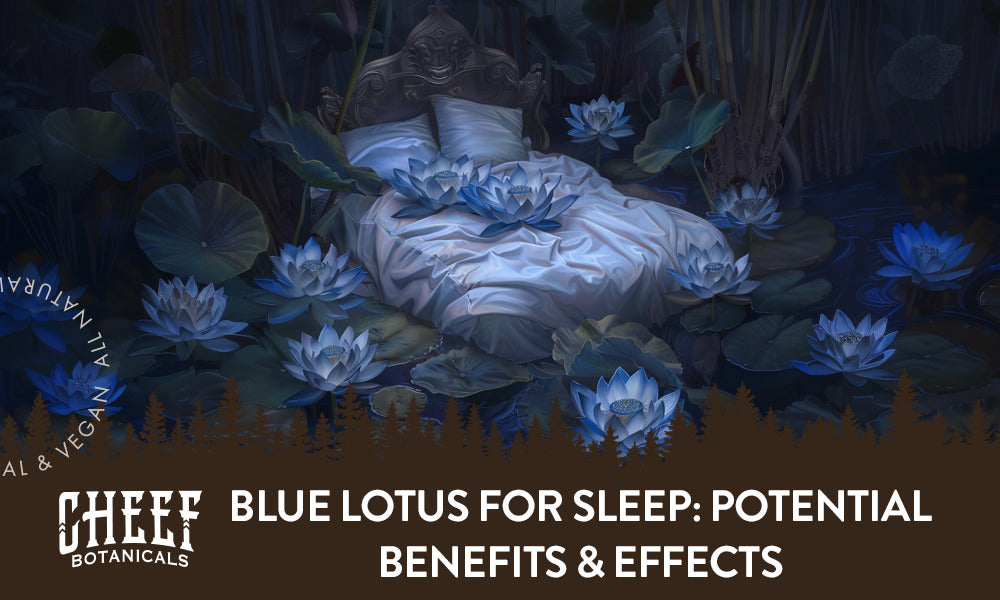 Blue Lotus for Sleep: Potential Benefits & Effects