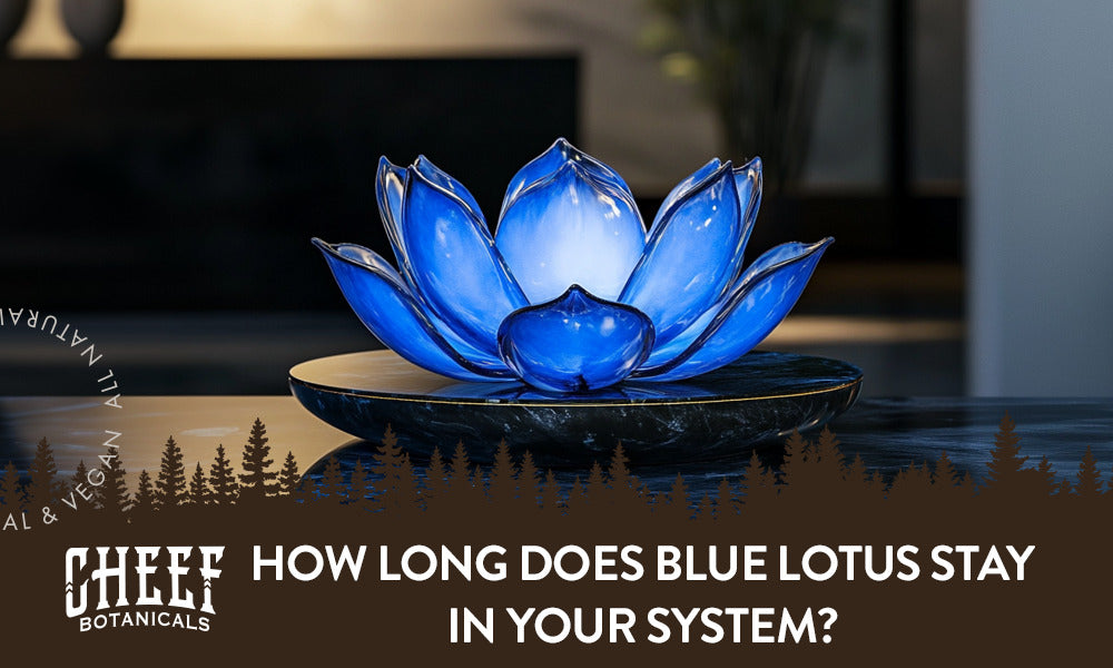 How Long Does Blue Lotus Stay In Your System featured blog image by Cheef Boanicals. Show a lit blue lotus candle holder.