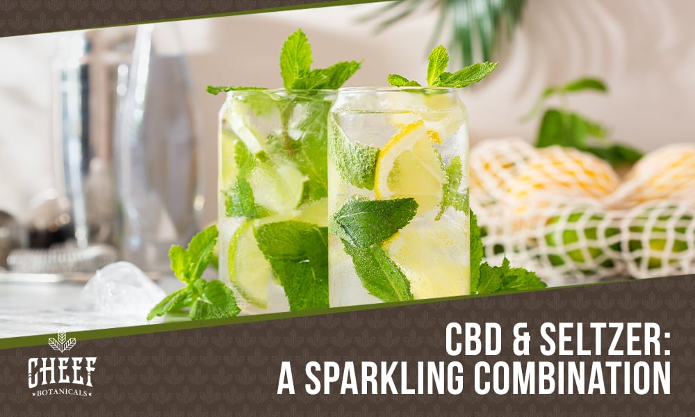CBD Seltzer (featured blog image by Cheef Botanicals) shows two ice cold CBD seltzers in clear glass cups (with lemons and mint garnish).
