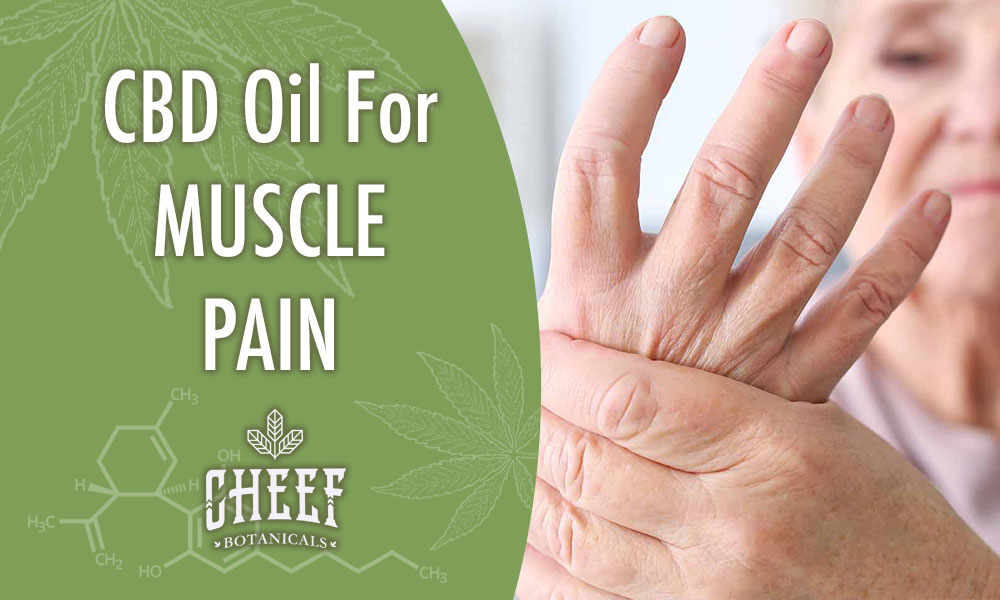 Featured blog image by Cheef Botanicals showing a person holding their hand with the text “CBD Oil For Muscle Pain,” highlighting CBD oil for muscle pain.