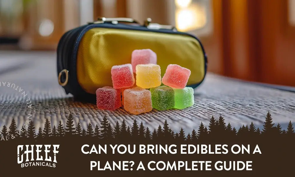 Can You Bring Edibles on a Plane? Your Cannabis Travel Guide