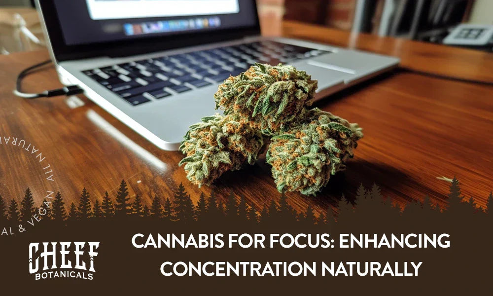cannabis for focus (featured blog image by Cheef Botanicals) shows cannabis buds and a laptop on a wooden table