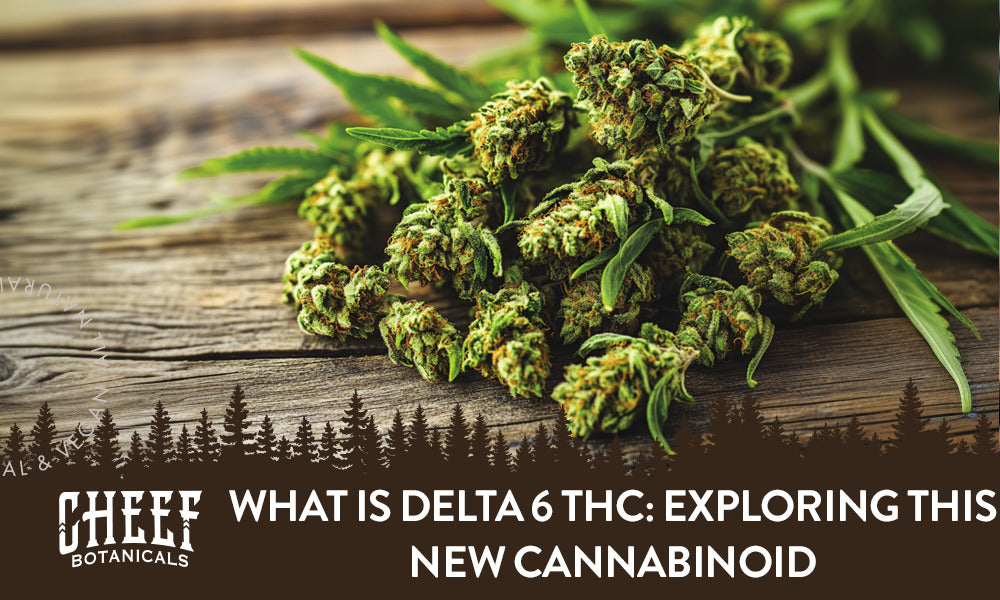 What Is Delta 6 THC featured blog image by Cheef Botanicals. Show a fresh pile of cannabis buds on a wooden surface.
