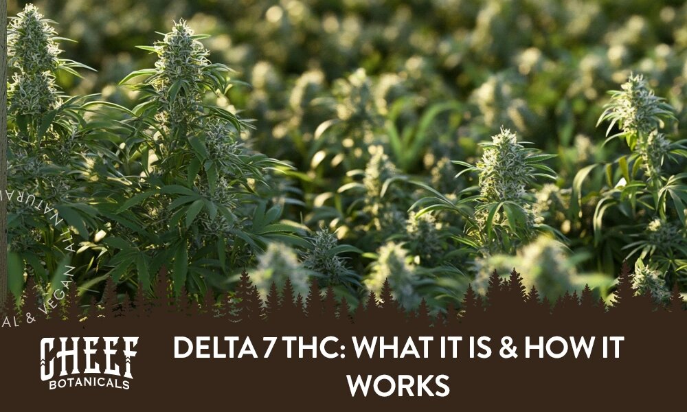 A bunch of Delta 7 cannabis plants growing outside with the title "Delta 7 THC".