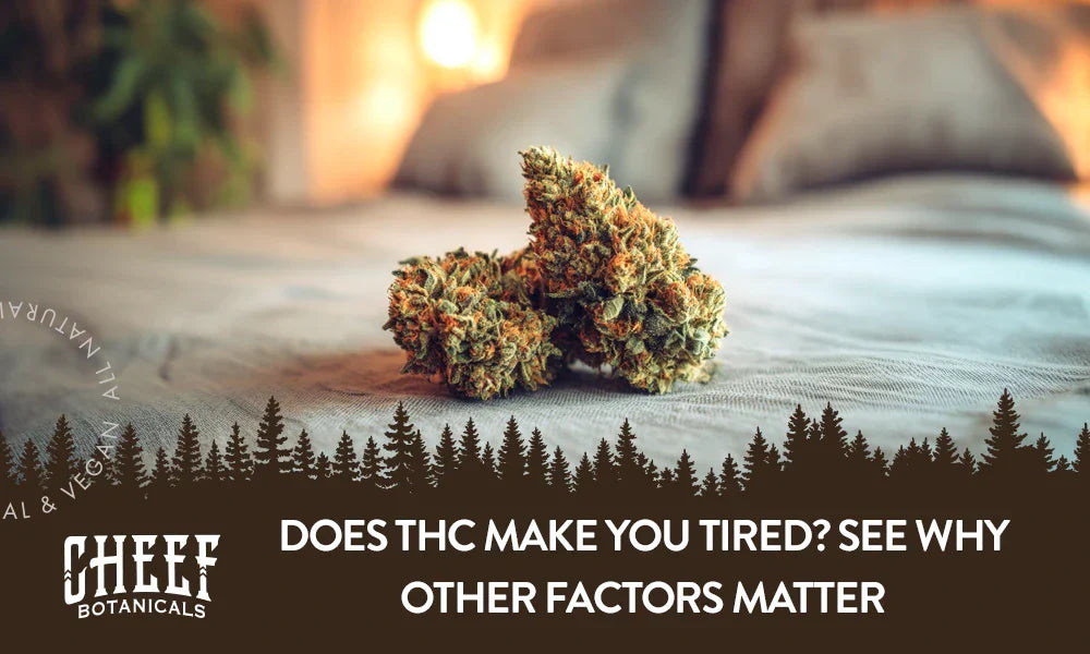 Two THC buds sitting on a bed with the title "Does THC make you tired".