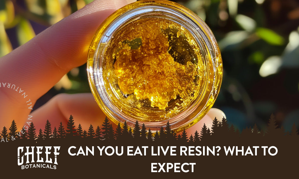 Can you eat live resin featured blog image by Cheef Botanicals. Shows a hand holding a clear jar of live resin in front of the sunlight.
