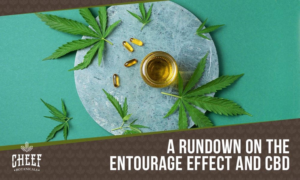 Featured blog image by Cheef Botanicals showing cannabis leaves, CBD oil, and capsules with the text “A Rundown on the Entourage Effect and CBD,” highlighting entourage effect and CBD.
