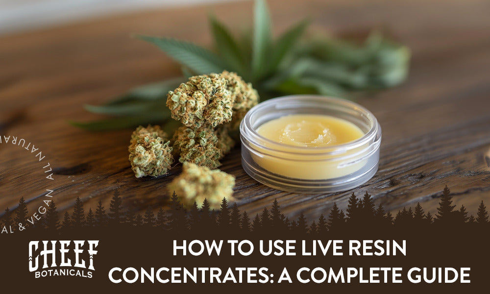 How to use live resin concentrates featured blog image by Cheef Botanicals. Shows a small open clear container of live resin next to some cured cannabis buds and hemp leaves on a wood surface