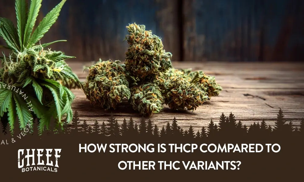 A couple of cannabis buds sitting on a wooden table with the title "How strong is THCp".