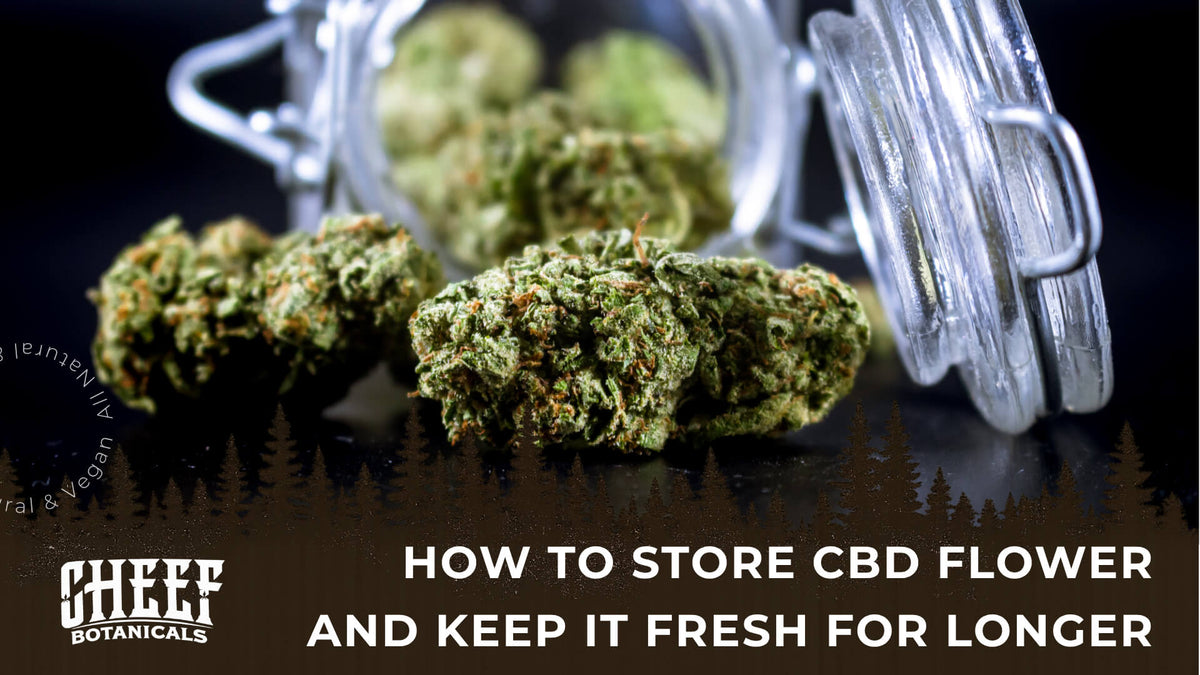 How to Store CBD Flower (featured blog image by Cheef Botanicals) shows an open jar of CBD flower buds with some pouring out