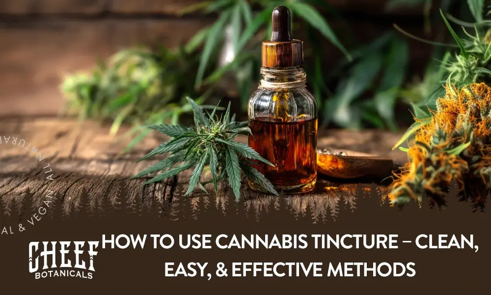 Featured blog image by Cheef Botanicals showing a cannabis tincture bottle with cannabis leaves and the text “How to Use Cannabis Tincture – Clean, Easy, & Effective Methods,” highlighting cannabis tincture.