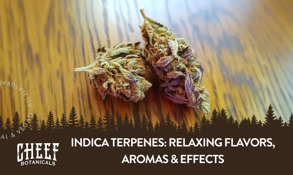 Two cannabis buds with indica terpenes sitting on a wooden table. Cheef Botanicals featured blog image.