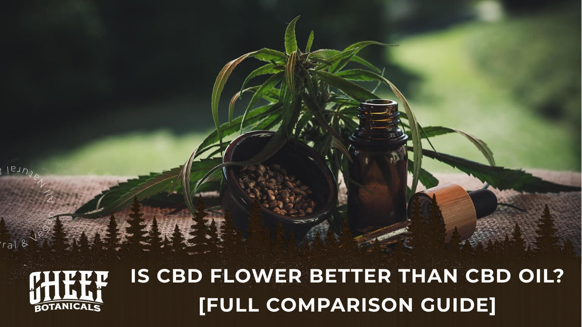 Is CBD Flower Better Than CBD Oil (featured blog image by Cheef Botanicals) shows CBD oil, flower, and hemp seeds grouped together on a rough surface