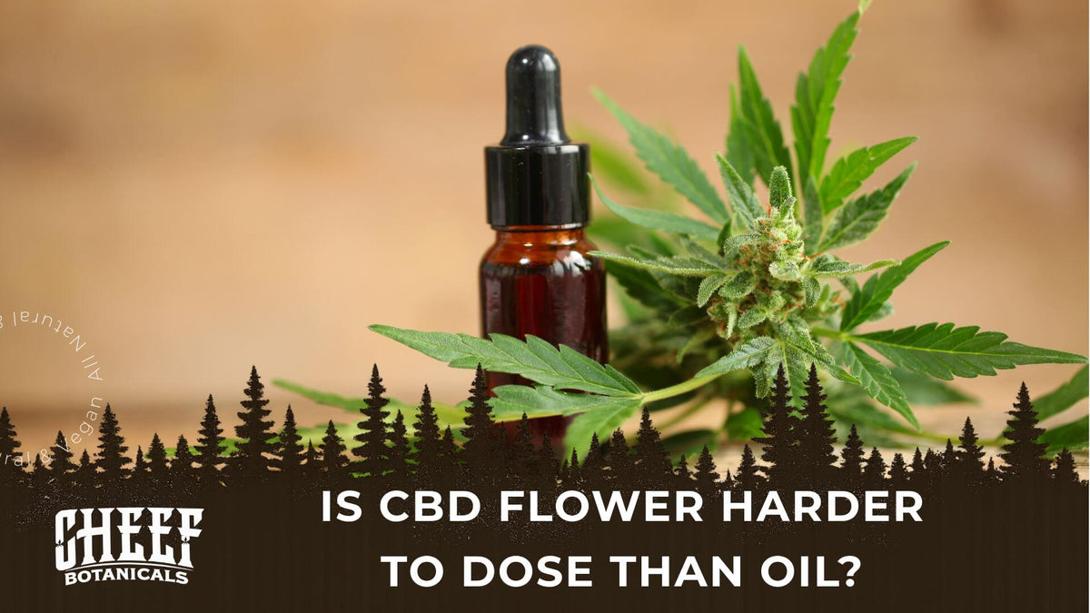 is CBD flower harder to dose than oil (featured blog image by Cheef Botanicals) shows a bottle of CBD oil beside a CBD flower bud