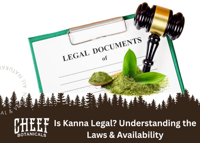 Is Kanna Legal Featured blog Image by Cheefbotanicals. Shows a legal document, kanna powder, kanna leaf, and gavel