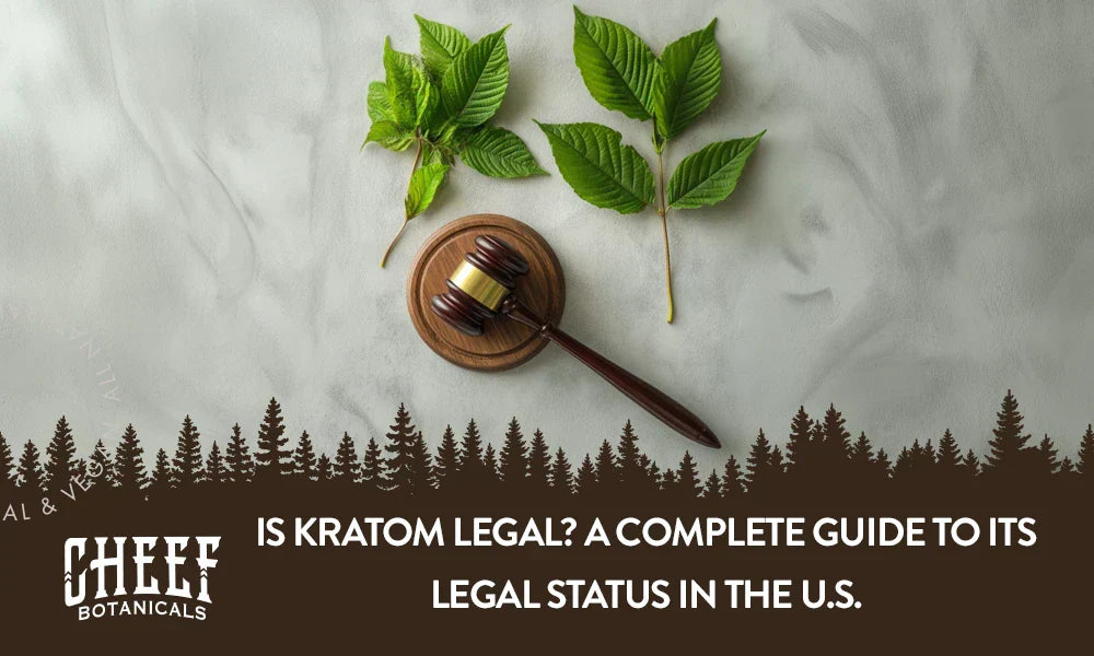 A Kratom plant sitting on a table with a judges gavel sitting next to it and the image text saying is Kratom legal.