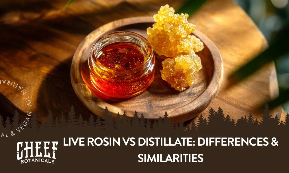 live rosin vs distillate (featured blog image by Cheef Botanicals) shows live rosin and distillate on a wooden table