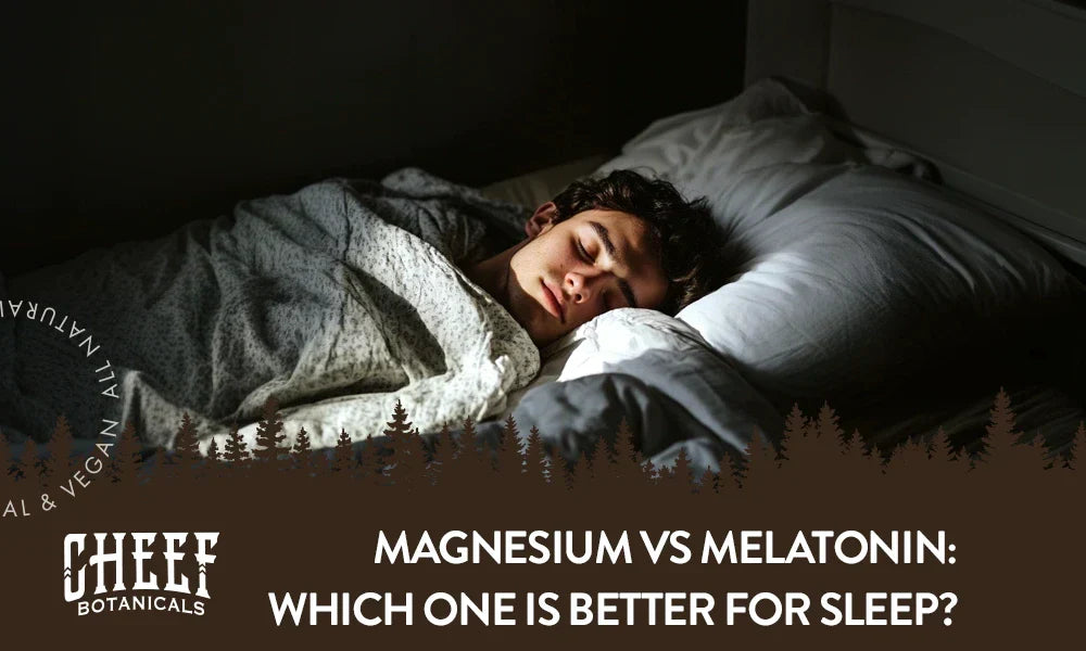 magnesium vs melatonin (featured blog image by Cheef Botanicals) shows a sleeping man in a dark room