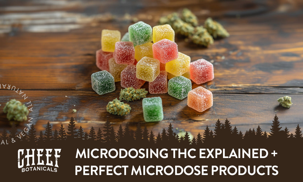 microdosing THC explained (featured blog image by Cheef Botanicals) shows THC flower buds and THC gummies on a wooden table