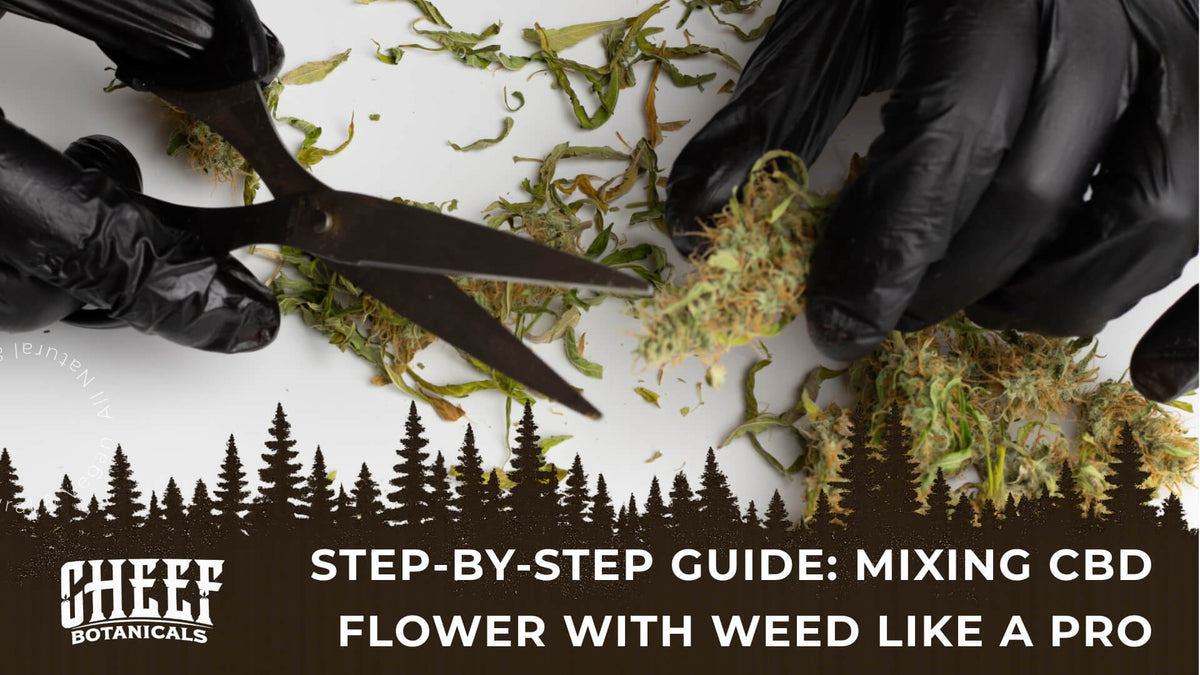 Mixing CBD Flower with Weed (featured blog image by Cheef Botanicals) shows a person trimming CBD flower buds