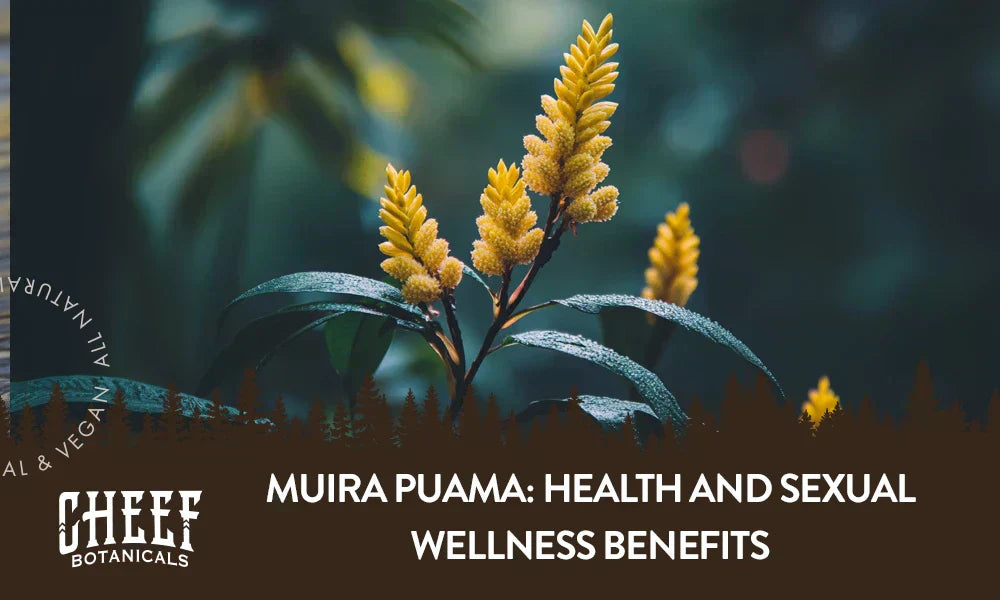 A Muira Puama plant growing naturally outside.