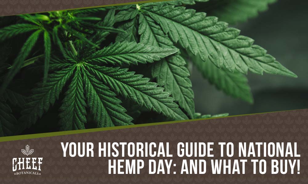 Featured blog image by Cheef Botanicals showing close-up hemp leaves with the text “Your Historical Guide to National Hemp Day: And What to Buy!” highlighting National Hemp Day.