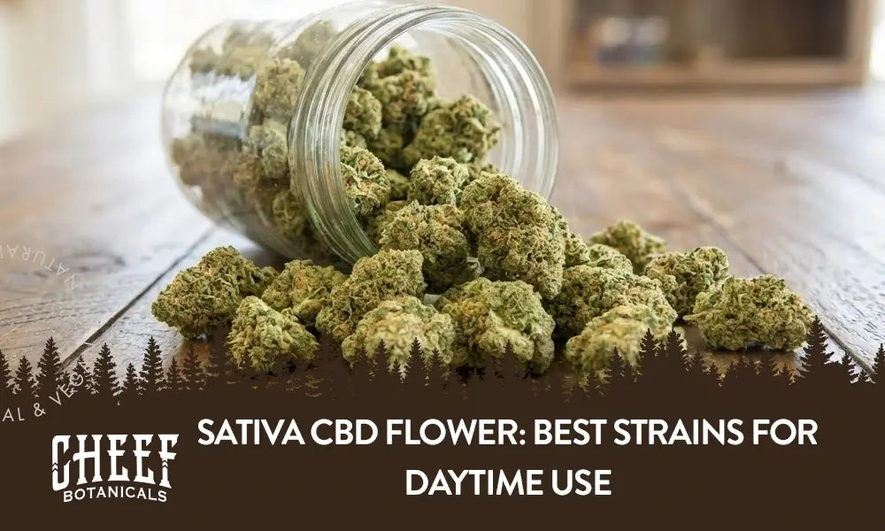 Sativa CBD Flower (featured blog image by Cheef Botanicals) shows sativa CBD flower buds spilling out of a jar