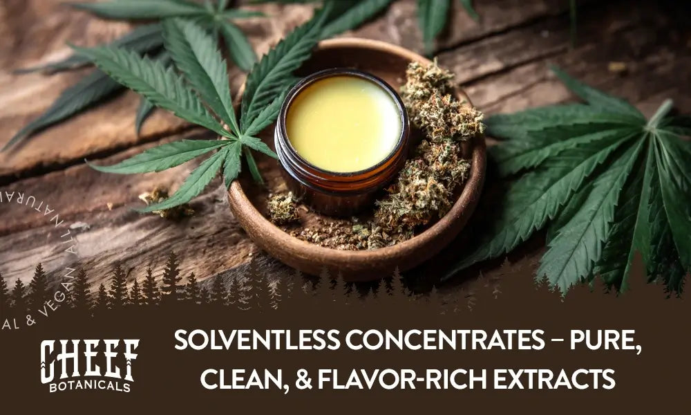 A solventless concentrate sitting in a circular container on a wooden table.