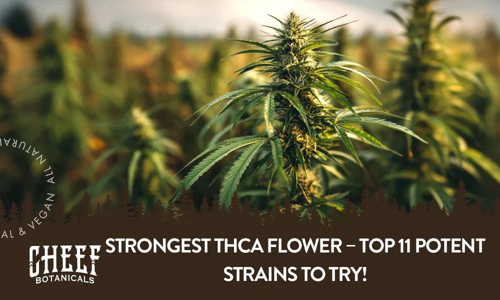 A THCa plant growing naturally outside with the title "Strongest THCa flower".
