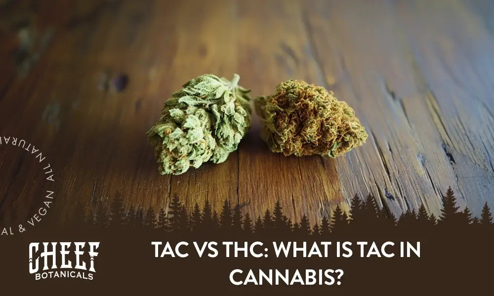 TAC vs THC: What Is TAC in Cannabis?