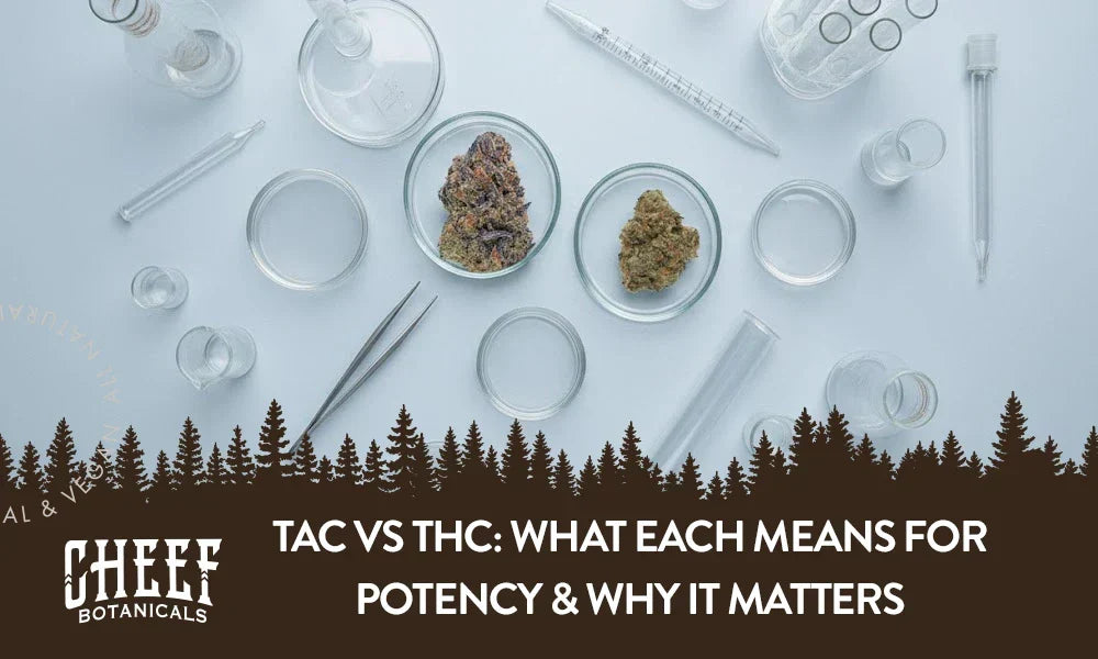 TAC vs THC (feaured blog image by Cheef Botanicals) shows two different cannabis buds sitting in petri dishes