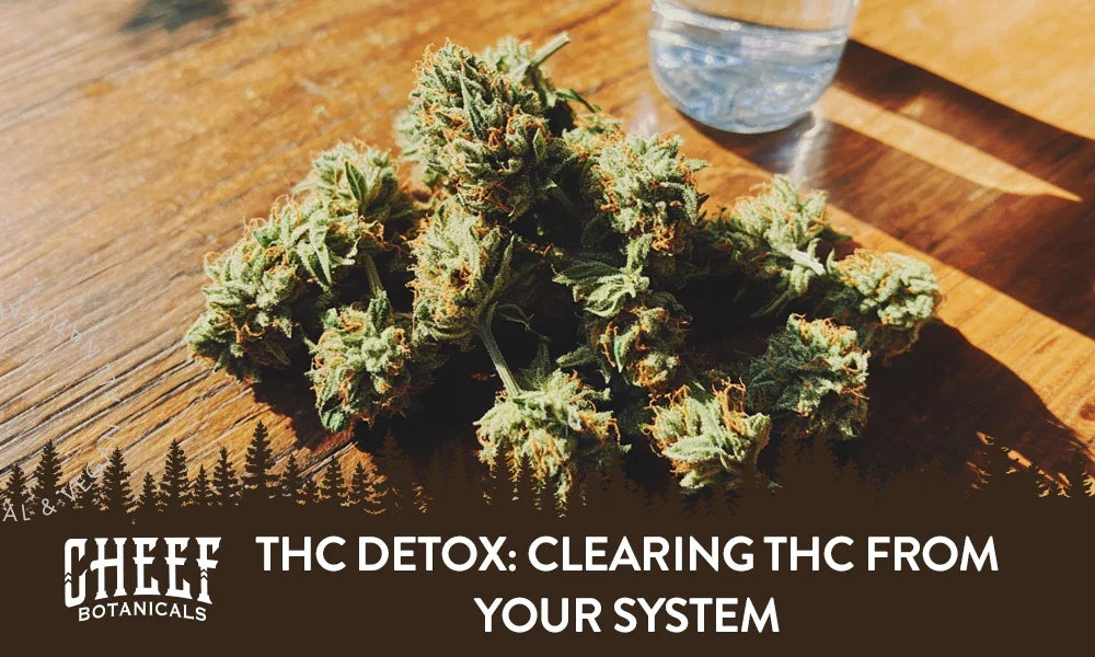 THC Detox: Clearing THC from Your System