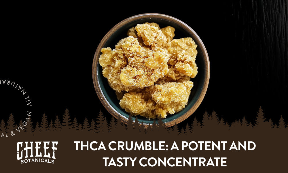 THCA Crumble featured blog image by Cheef Botanicals. Shows the top view of a circular container full of chunky yellow THCA Crumble Concentrate.