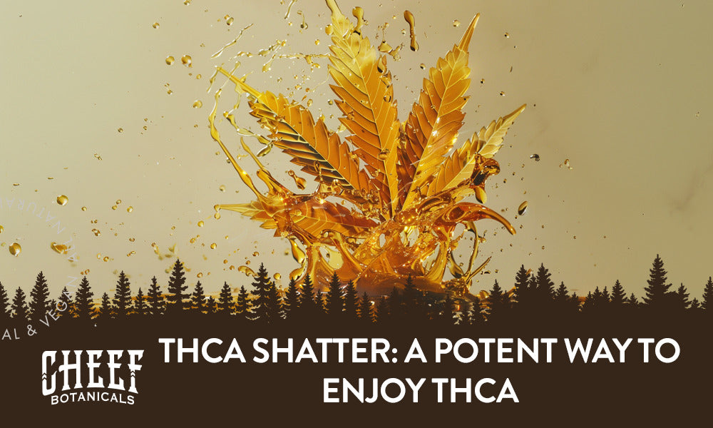 THCa Shatter: A Potent Way to Enjoy THCa