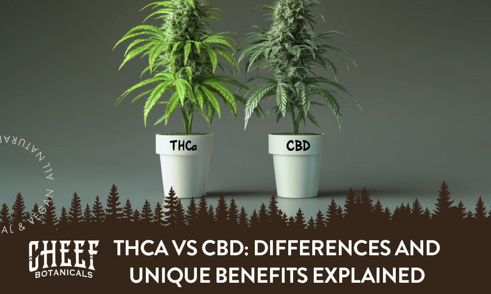 THCa vs CBD: Differences and Unique Benefits Explained