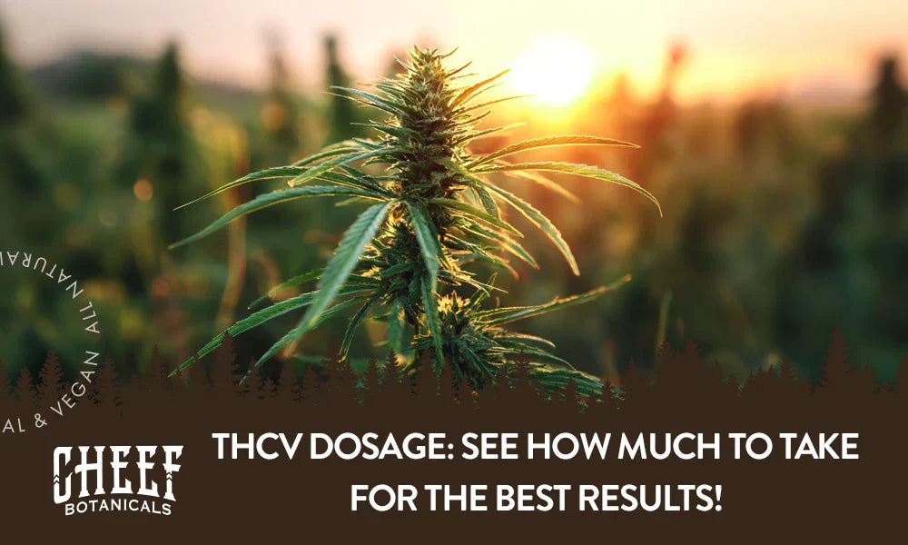 A cannabis plant growing outside with the title "THCv dosage".