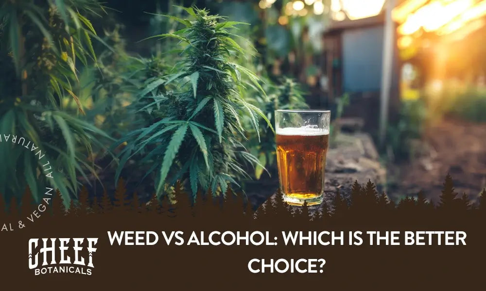 A weed plant growing outside with a glass of beer sitting next to it with the title "Weed vs alcohol".