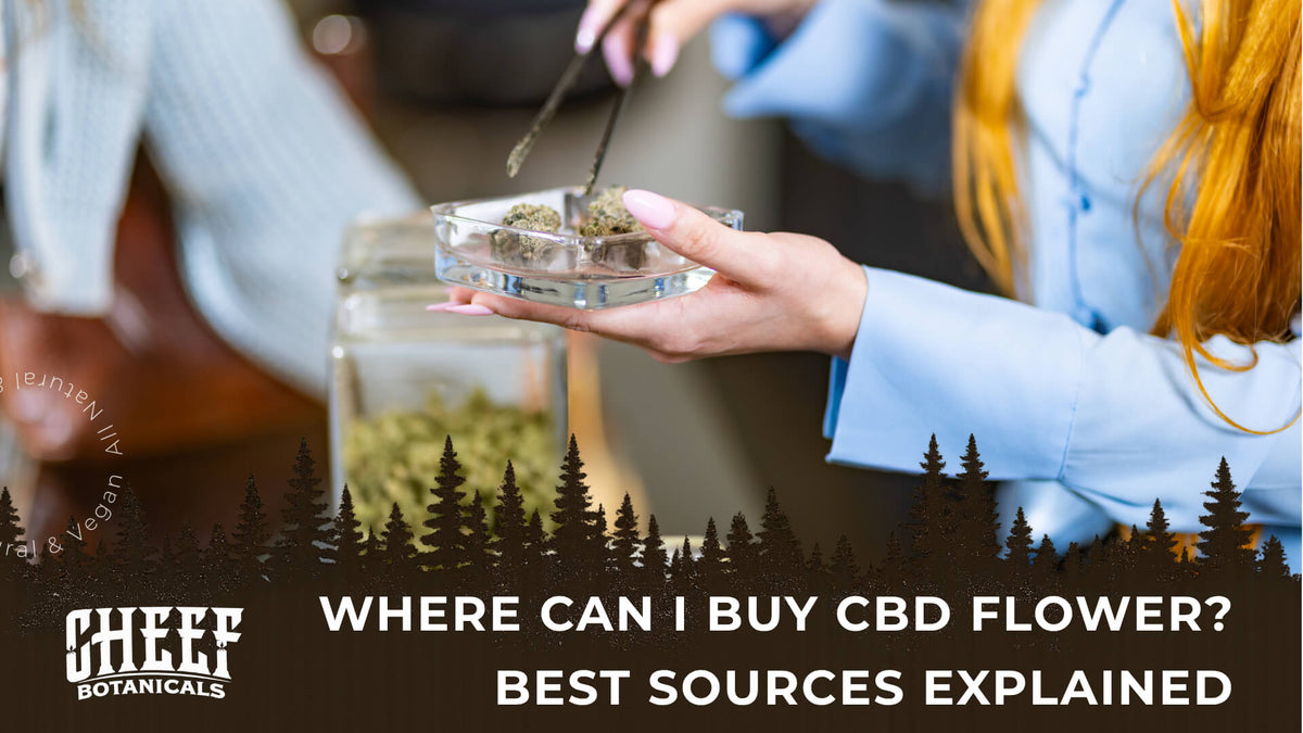 Where Can I Buy CBD Flower (featured blog image by Cheef Botanicals) shows a woman preparing CBD flower buds for a customer