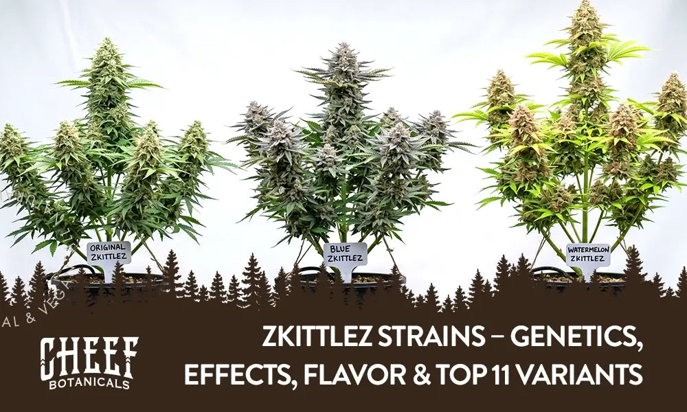 Zkittlez Strains featured blog image by Cheef Botanicals. Shows three different strains (Original Zkittlez, Blue Zkittlez, and Watermelon Zkittlez) set up side-by-side