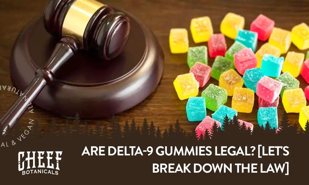 Are Delta-9 Gummies Legal featured blog image by Cheef Botanicals. Show Judges gavel, sound block, and THC gummies