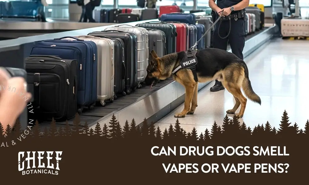 cigarettes contain how many chemicals What Chemicals Are In Cigarettes?