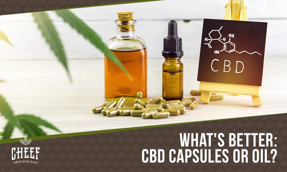 Featured blog image by Cheef Botanicals showing CBD oil, capsules, and a chalkboard with the text “What’s Better: CBD Capsules or Oil?” highlighting CBD capsules vs oil.