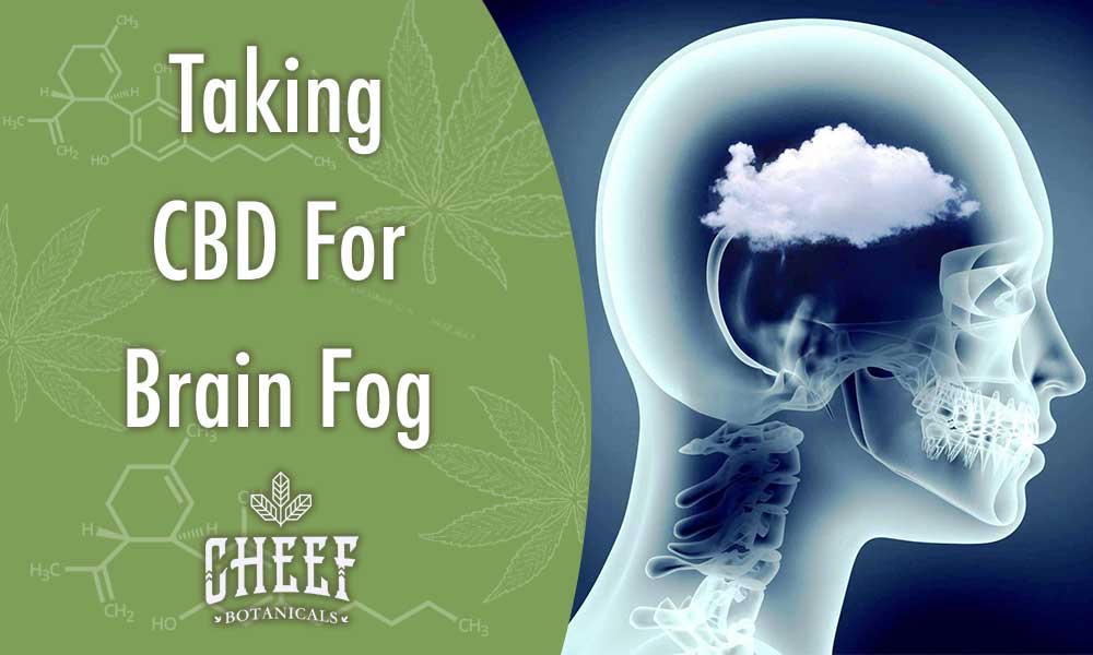 cbd for brain fog