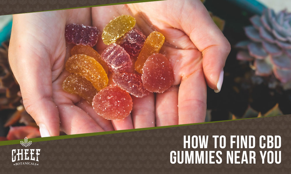 cbd gummies near me (featured blog image by Cheef Botanicals) shows a person holding multiple CBD gummies