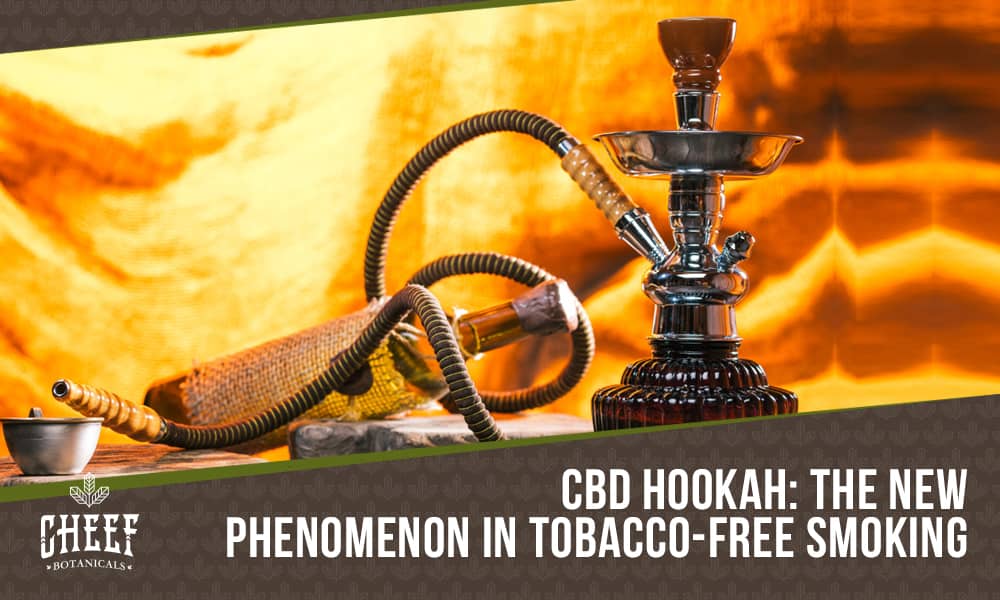 cbd hookah