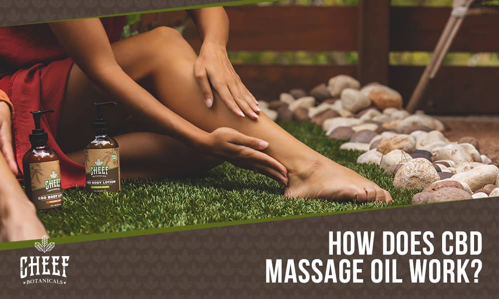 cbd massage oil (featured blog image by Cheef Botanicals) shows a person massaging their leg with CBD massage oil