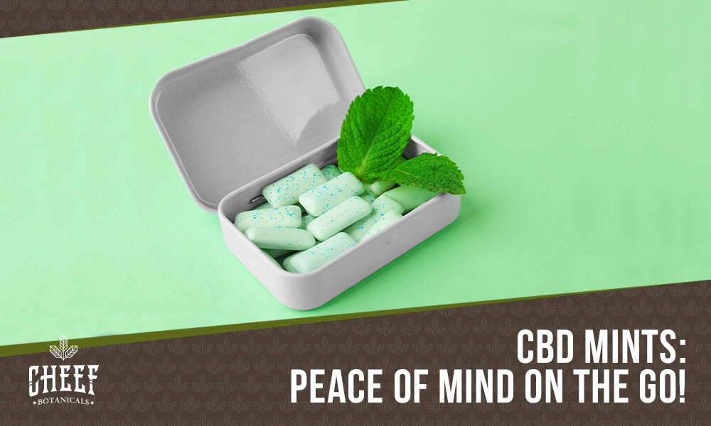 cbd mints