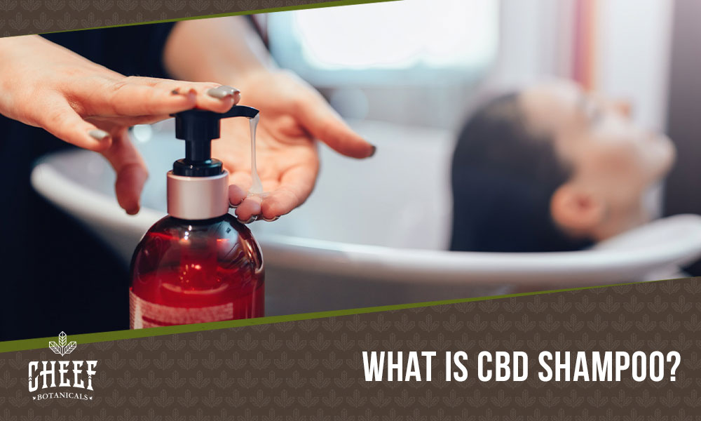 Featured blog image by Cheef Botanicals showing a shampoo pump bottle with a person relaxing in the bath and the text “What Is CBD Shampoo?” highlighting cbd shampoo.